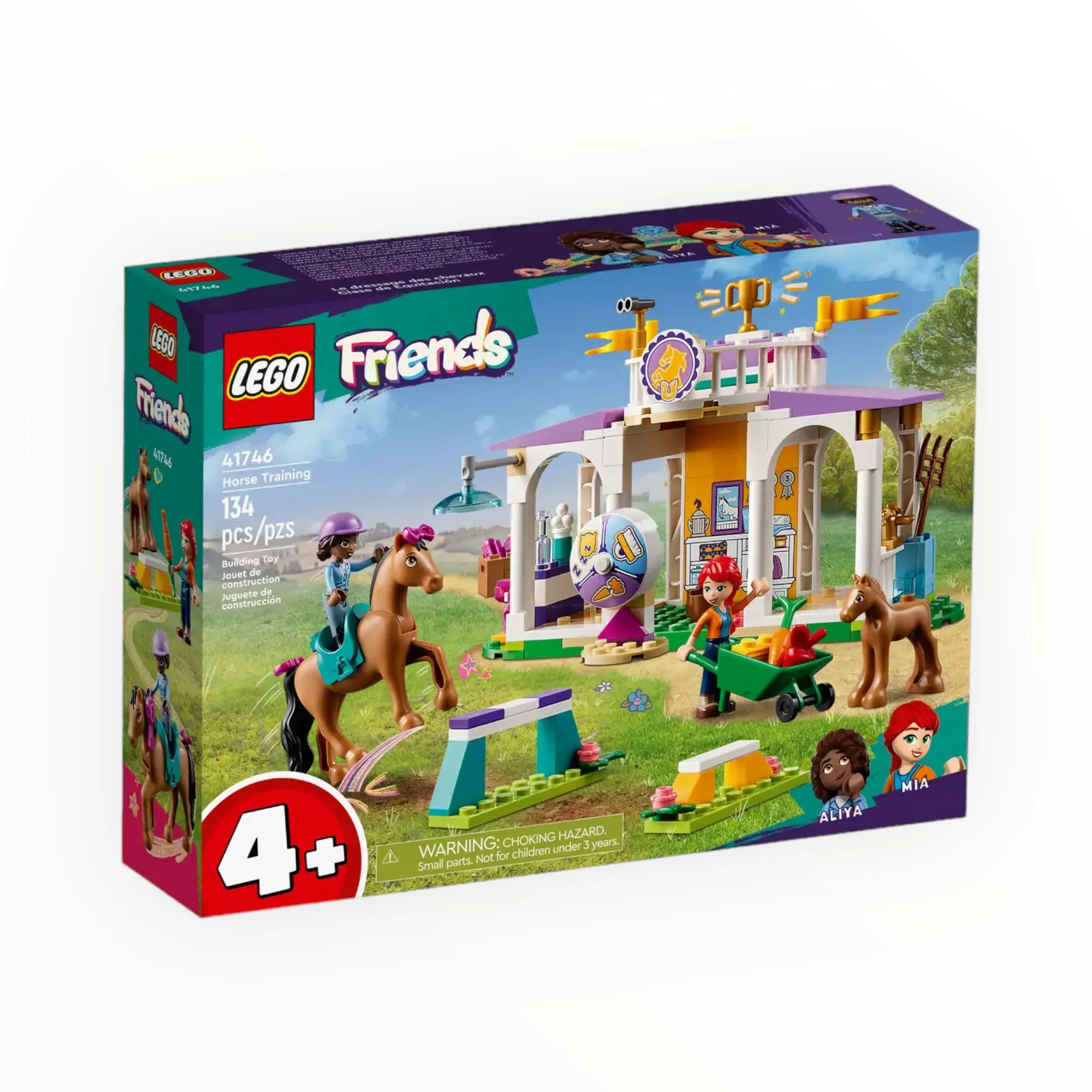 41746 Friends Horse Training