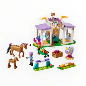 41746 Friends Horse Training