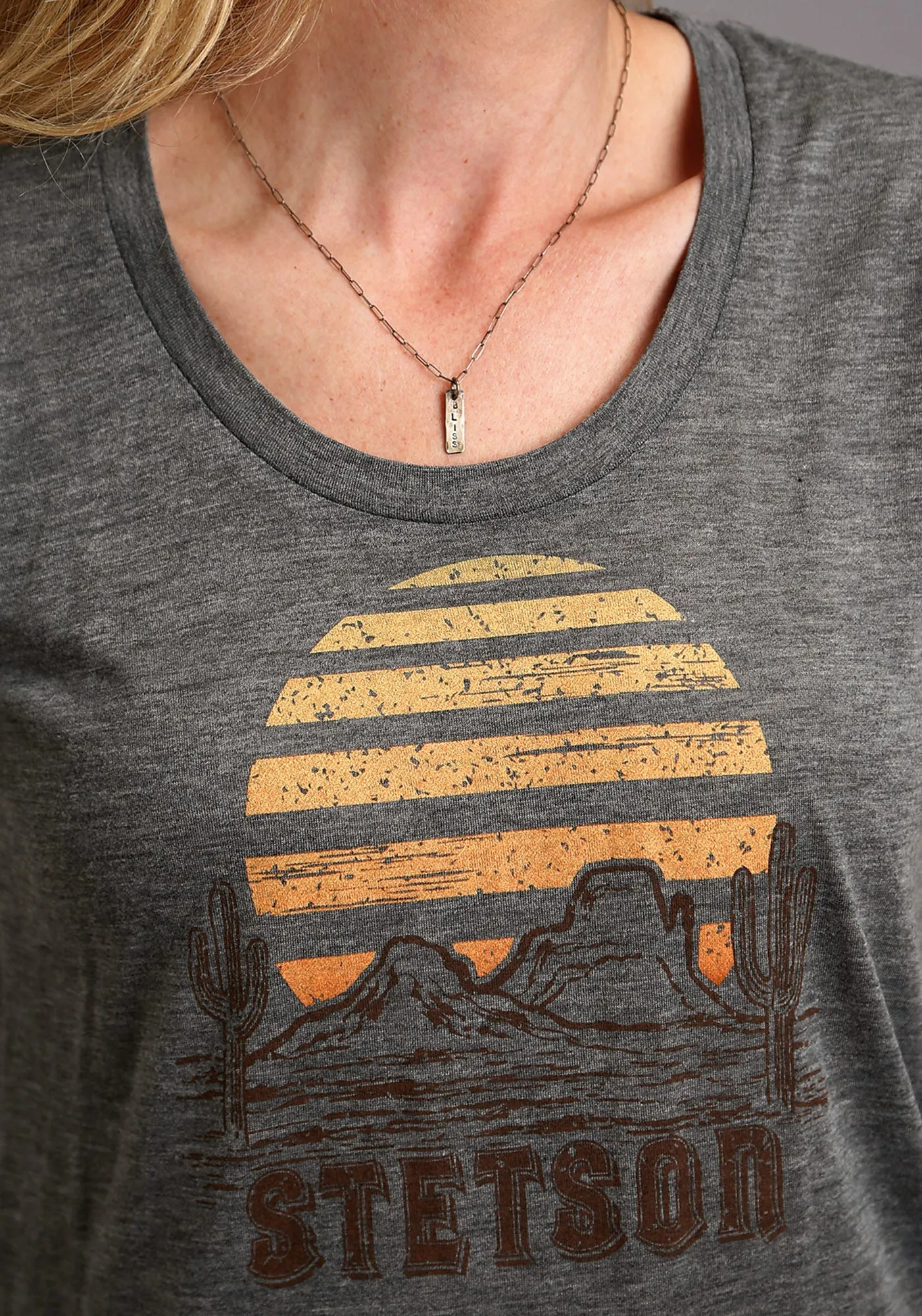 Stetson Womens Grey Poly/Rayon Cactus/Sunset S/S T-Shirt Chilly Day Wear Sleepwear