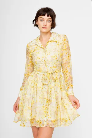 Crisp Fit CASSIA PRINT DRESS CASSIA PRINT DRESS Back Detail