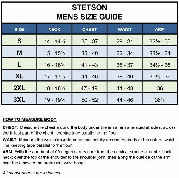 Stretch Fit Technology Fitted Shape Stetson Mens Light Blue 100% Cotton Two Stripe Check L/S Shirt