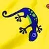 Gecko Print Kids Swim Shorts