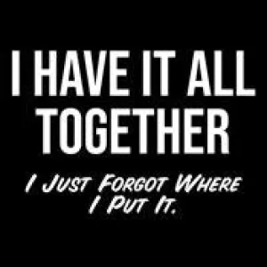 I Have It All Together I Just Forgot Where I Put It