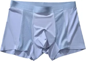Men's Ice Mesh Boxer Briefs Breathable Seamless Underpants Sports Underwear