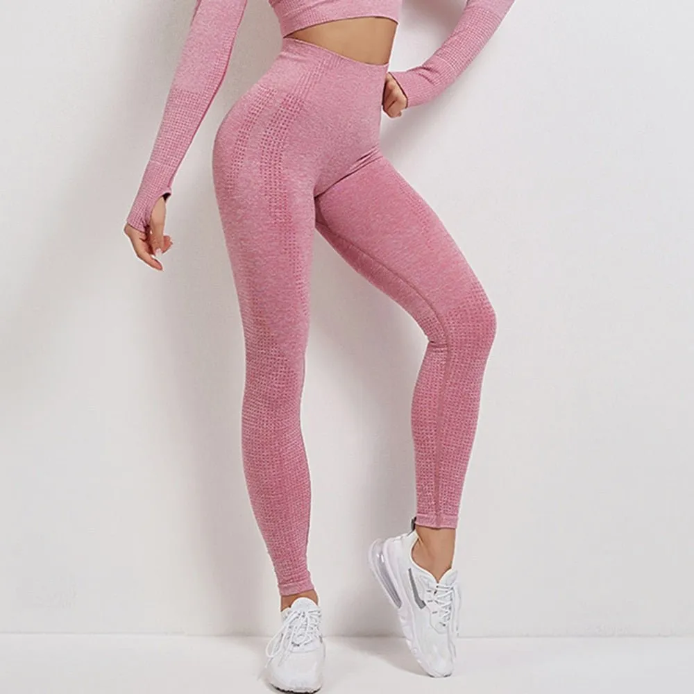 Non See Through Tights - CFR