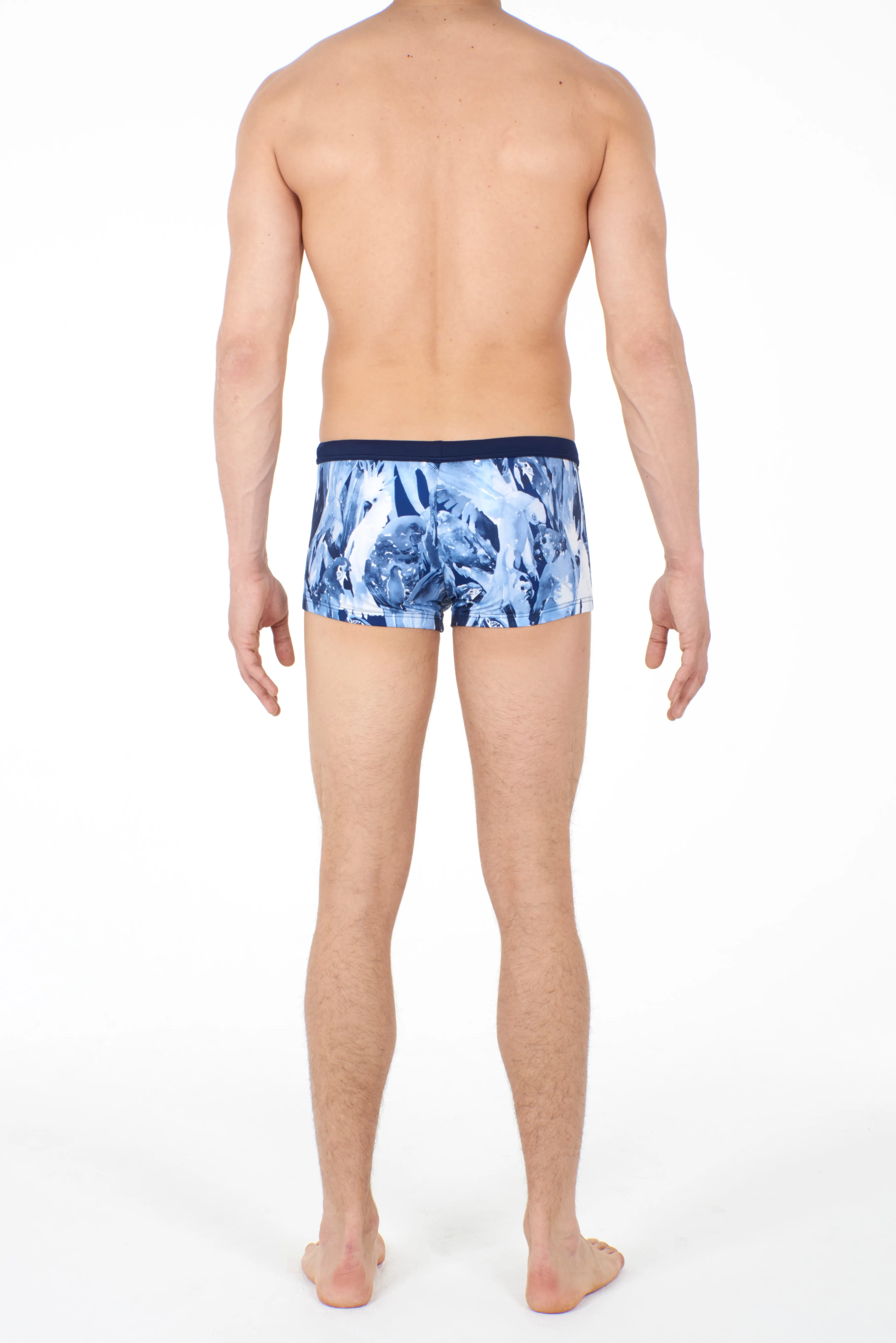 Papagayo Swim Shorts | Blue 401259-00BI