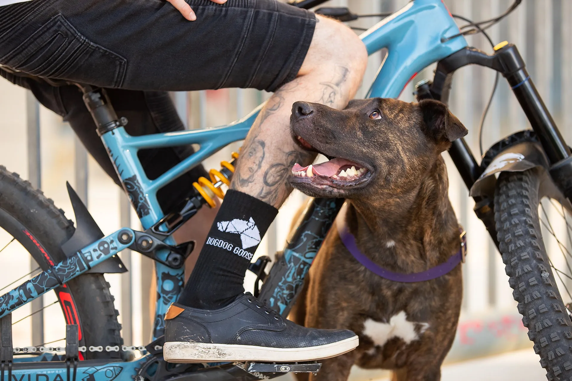 Pawthentic Threads: Skate Compression Socks
