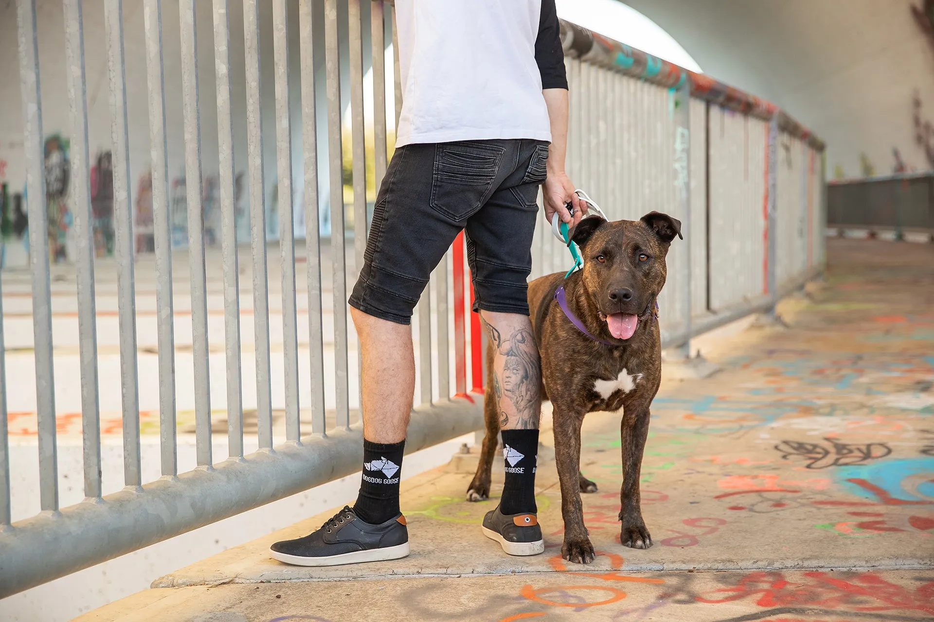 Pawthentic Threads: Skate Compression Socks