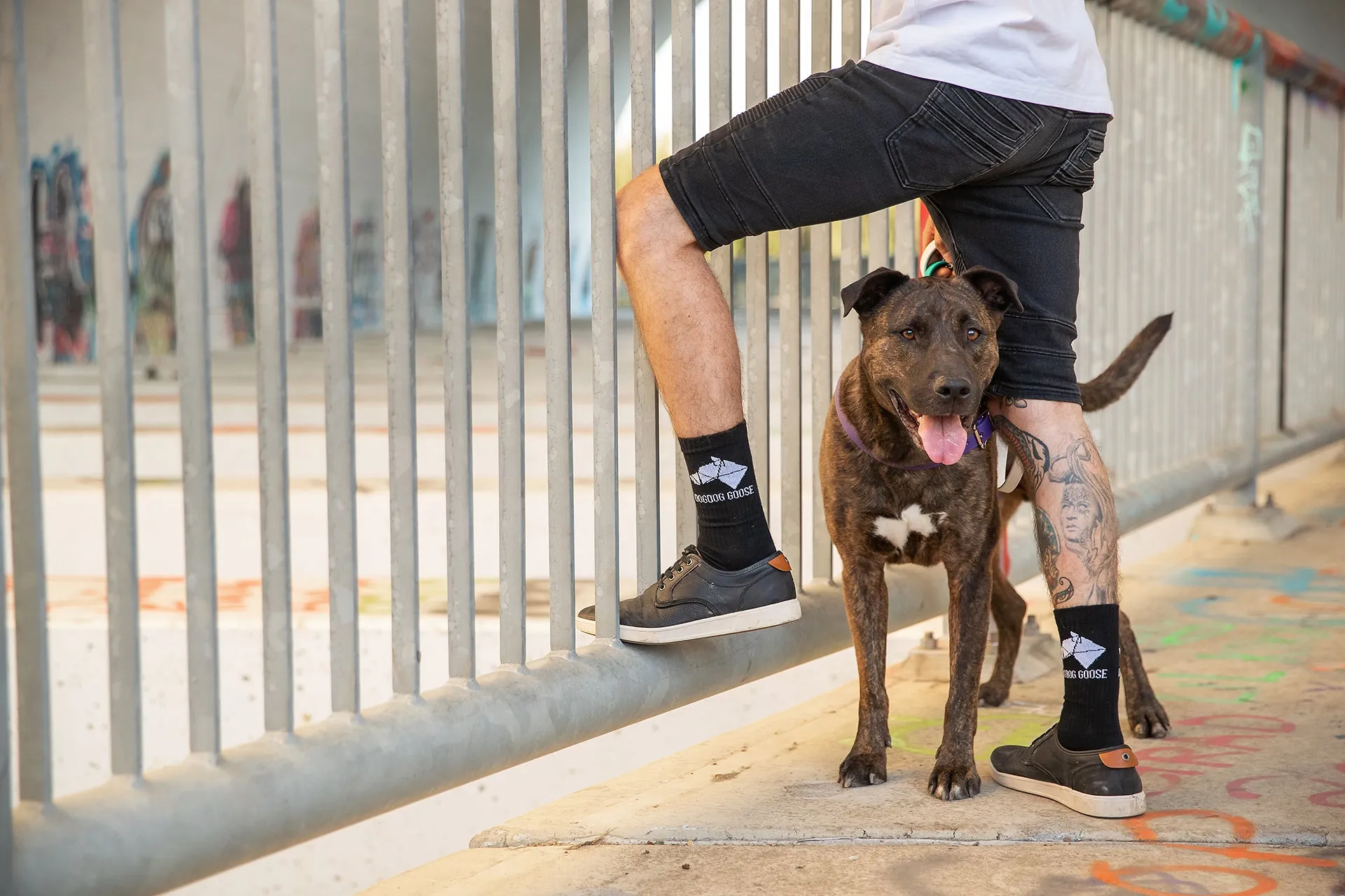 Pawthentic Threads: Skate Compression Socks