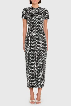 Peter Pan Collar Rosaria Dress in Black/White Rosaria Dress in Black/White Flower Soft
