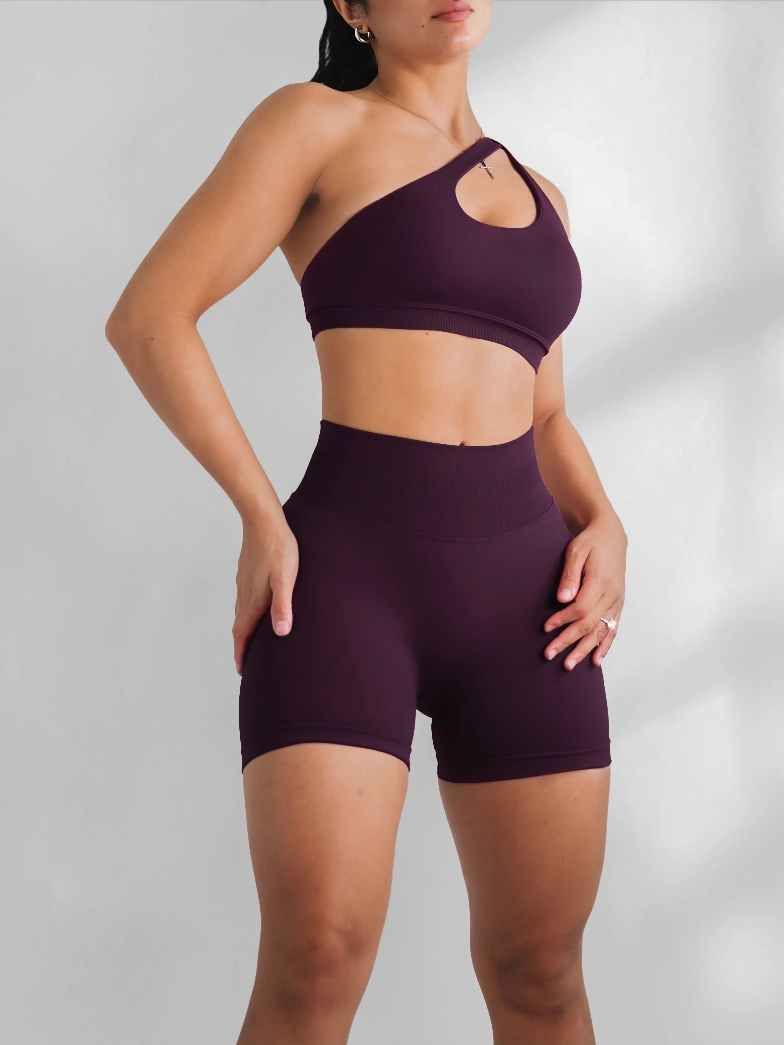 Premier Motion One Shoulder Sports Bra (Blackberry Purple)