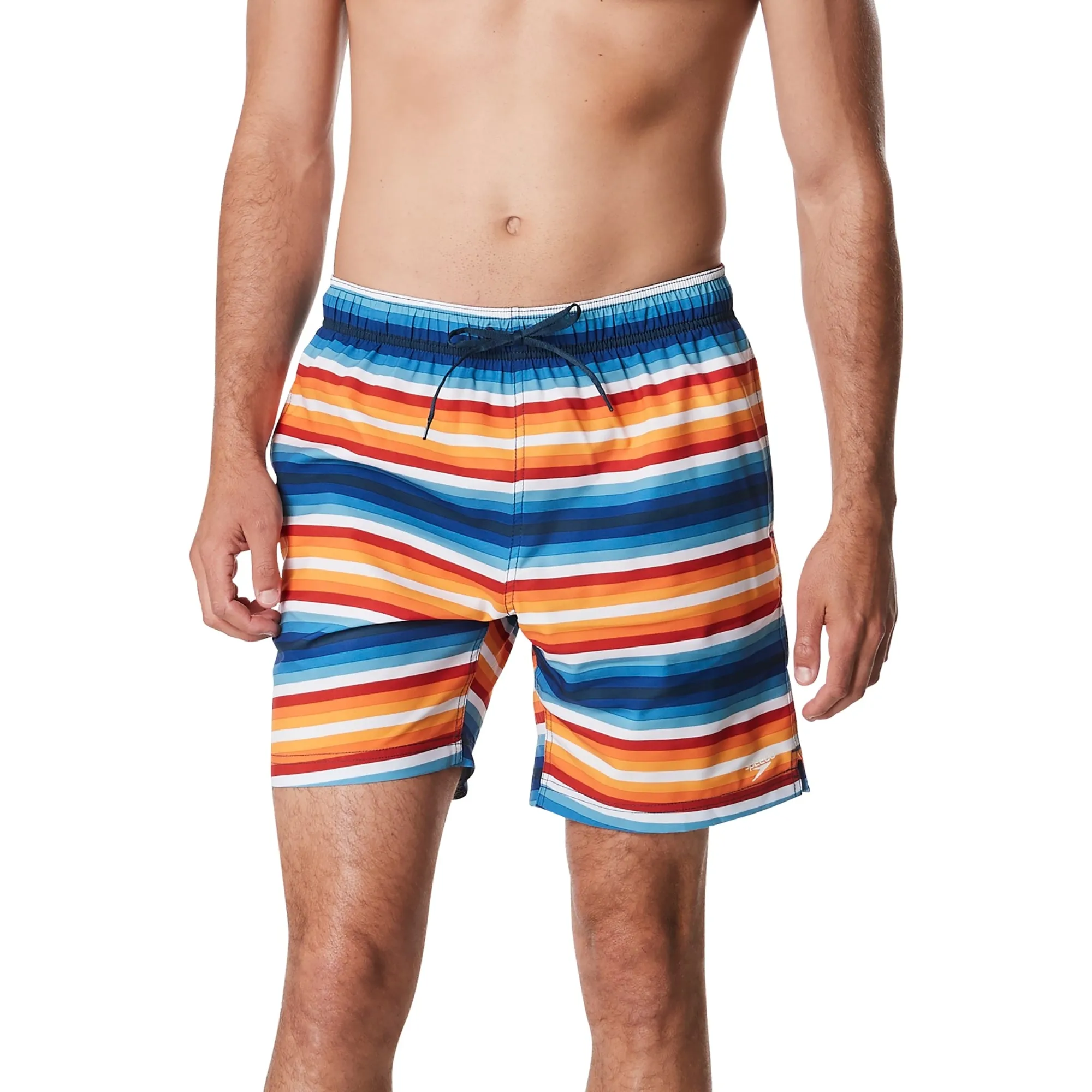 Speedo Men's Pipeline Volley 18" Swim Short