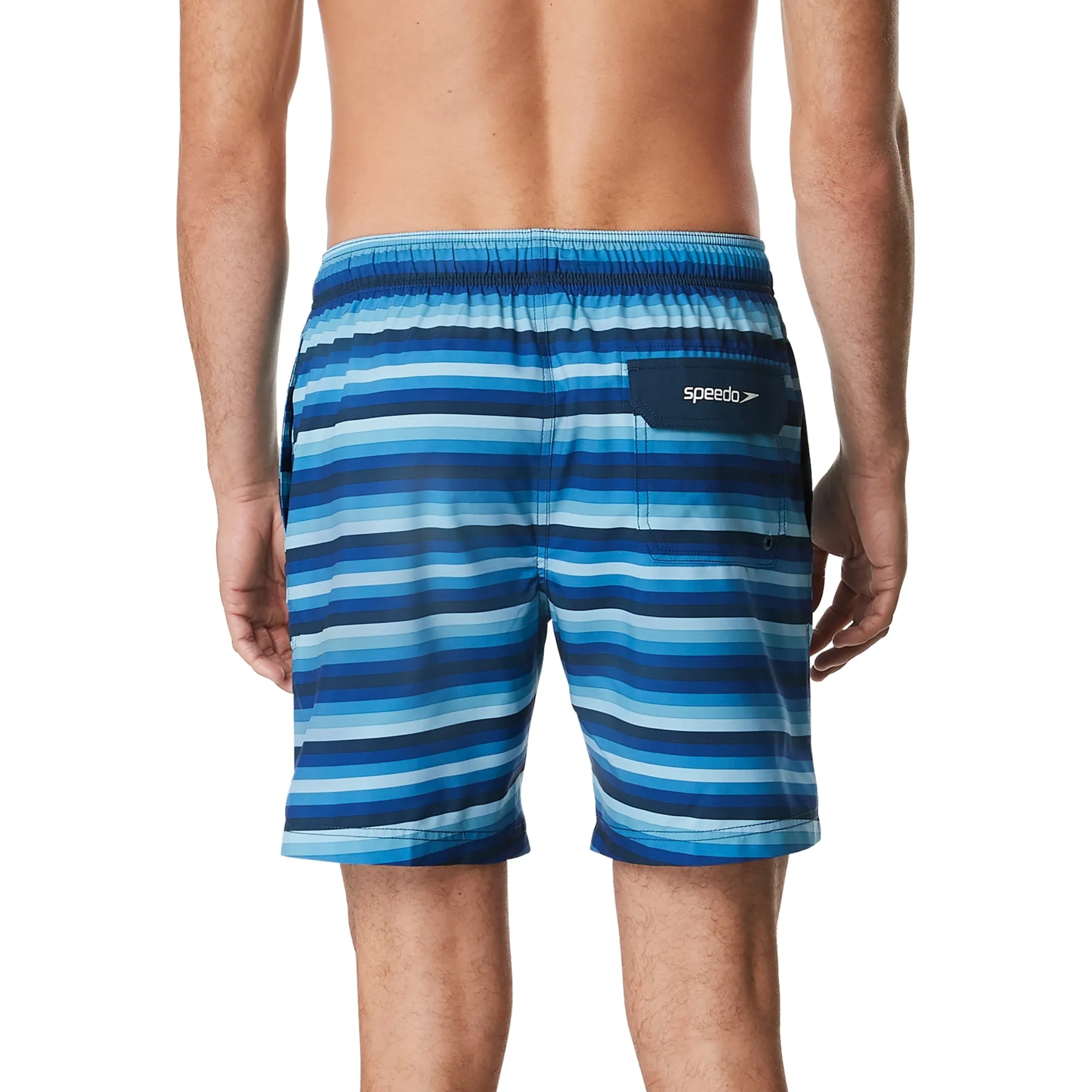 Speedo Men's Pipeline Volley 18" Swim Short