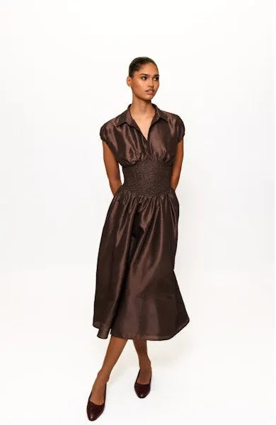 Professional Comfort Trevy Smocked Waist Midi Dress in Brown