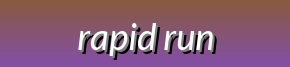 Rapid Run - Professional Sportswear, Powering Every Passionate Struggle